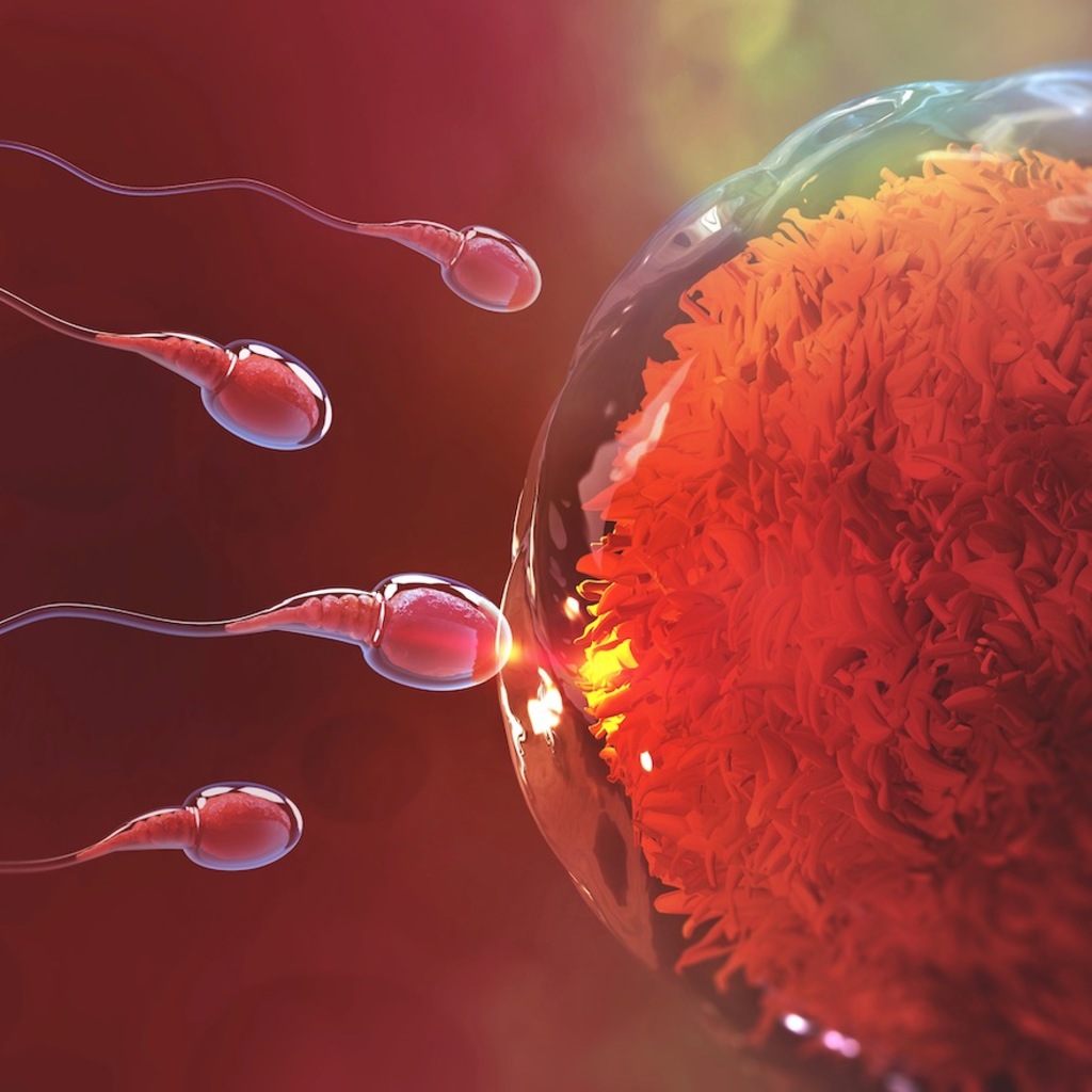 IUI คืออะไร