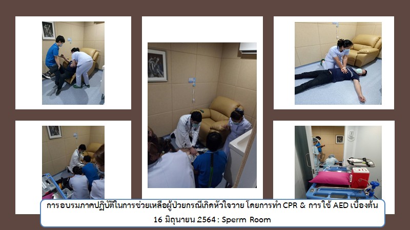 การทำ CPR